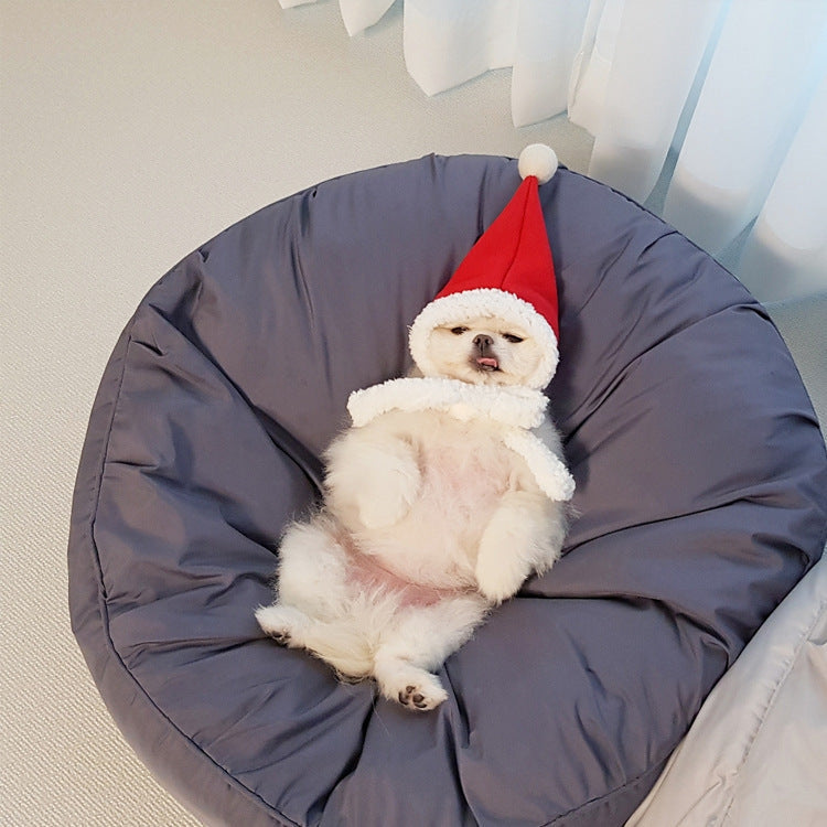 The Ultimate Comfort for Your Furry Friends
